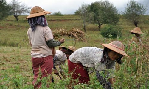Zdjęcie MYANMAR / brak / okolice Inle Lake / Ten widok troche kojarzy mi sie z Chinami (w ktorych zreszta jeszcze nie bylam :)