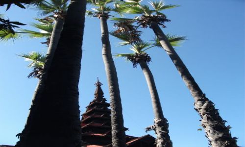 Zdjęcie MYANMAR / Mandalay / Ava / ... złudzenie ...