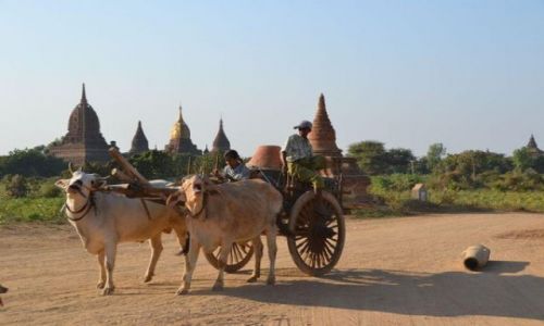 Zdjecie MYANMAR / - / Bagan / Popoudniowa wycieczka....