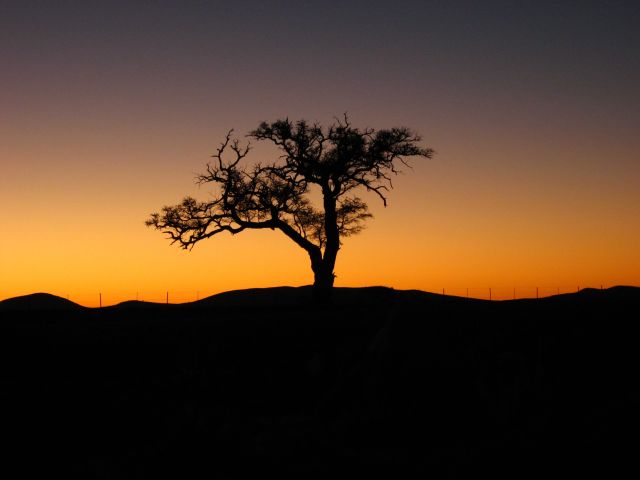 Zdjęcia: droga, okolice Solitaire, Colours of Africa, NAMIBIA Zdjęcia: droga, okolice Solitaire, Colours of Africa, NAMIBIA