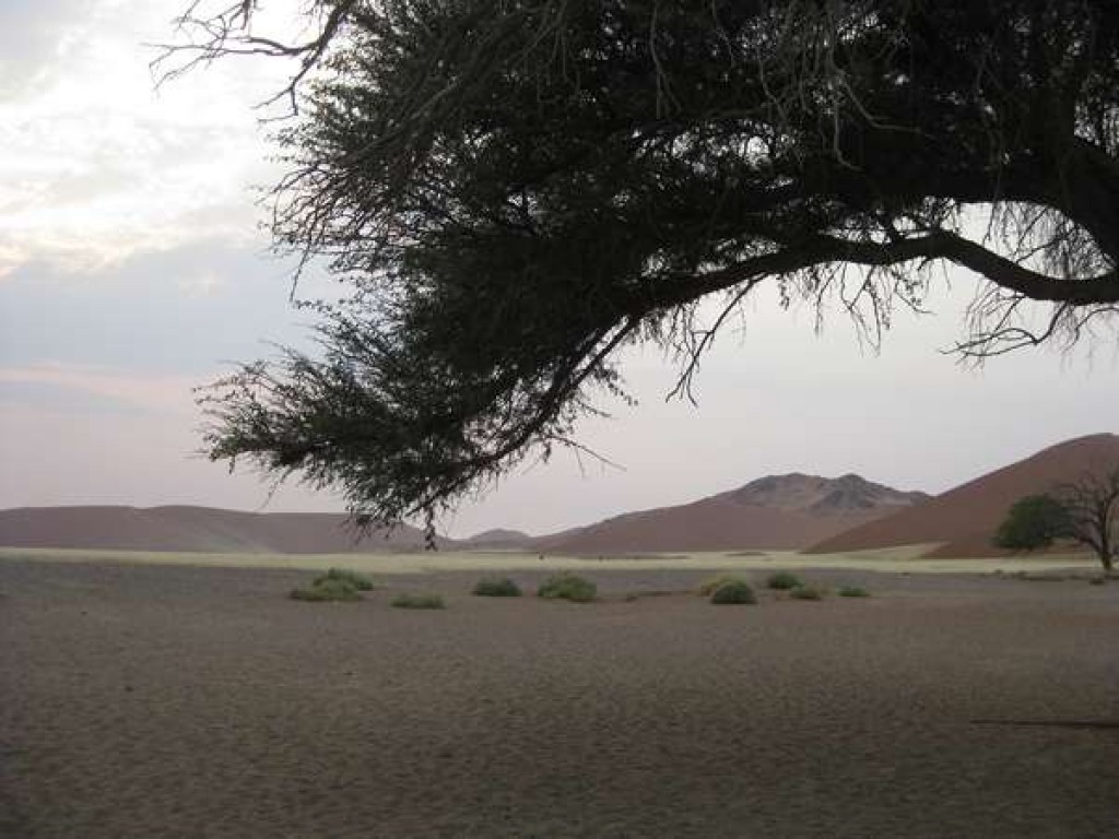 Zdjęcia: W, Pustynia Namib, Świt nad pustynią, NAMIBIA Zdjęcia: W, Pustynia Namib, Świt nad pustynią, NAMIBIA