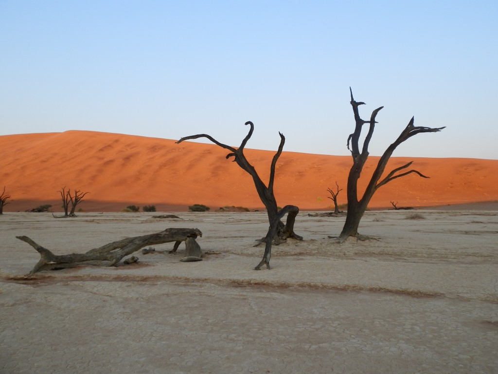 Zdjęcia: Deadvlei, Pustynia Namib, Tak mija świetność świata, NAMIBIA Zdjęcia: Deadvlei, Pustynia Namib, Tak mija świetność świata, NAMIBIA