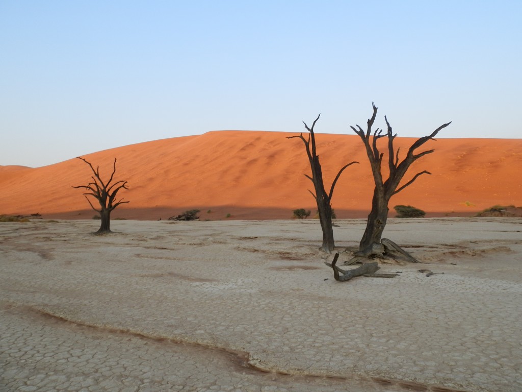 Zdjęcia: Deadvlei, Pustynia Namib, Drzewa umierają stojąc, NAMIBIA Zdjęcia: Deadvlei, Pustynia Namib, Drzewa umierają stojąc, NAMIBIA