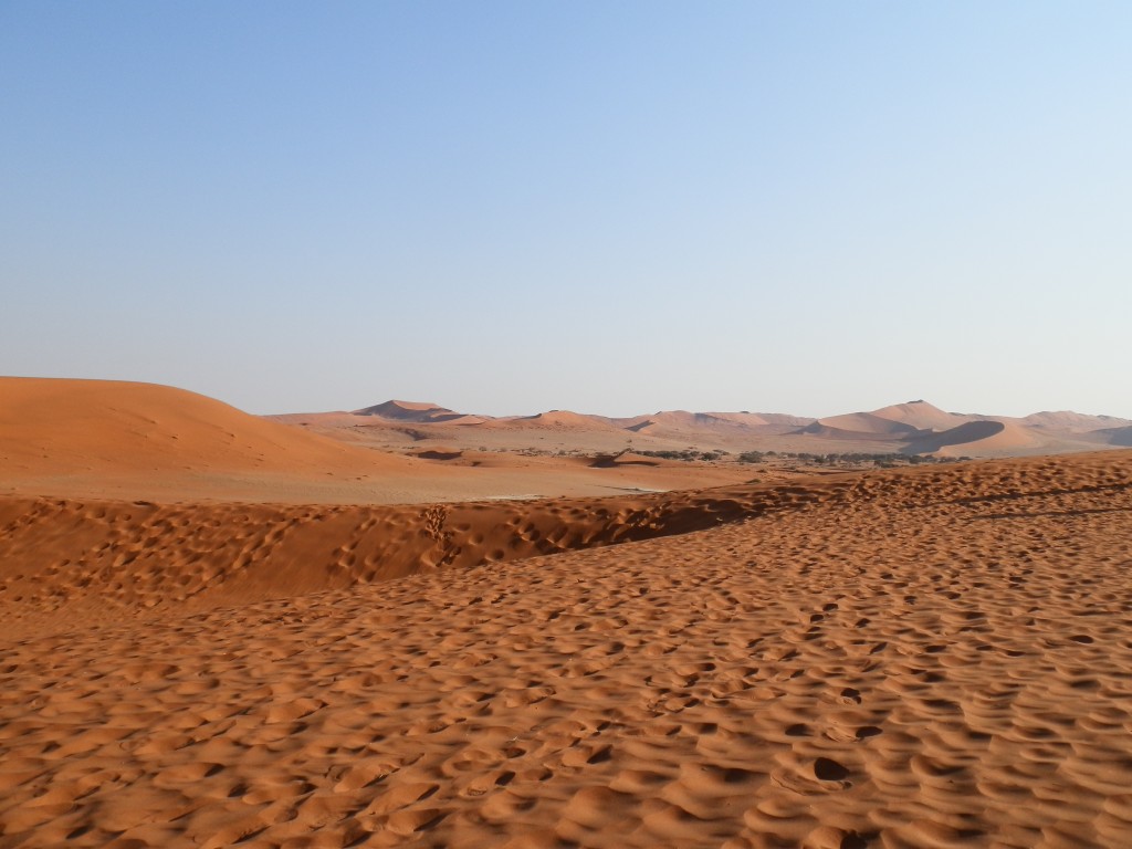 Zdjęcia: Namib, Pustynia Namib, Bezkres wydm, NAMIBIA Zdjęcia: Namib, Pustynia Namib, Bezkres wydm, NAMIBIA
