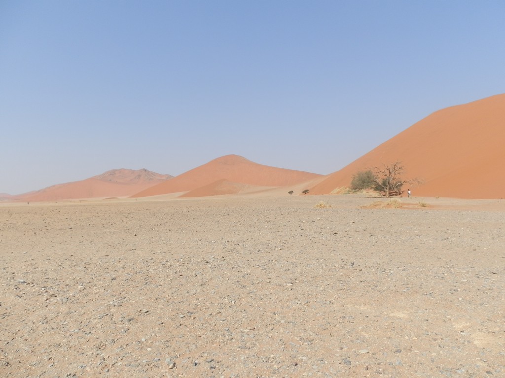 Zdjęcia: Namib, Pustynia Namib, Tylko piach, suchy piach..., NAMIBIA Zdjęcia: Namib, Pustynia Namib, Tylko piach, suchy piach..., NAMIBIA