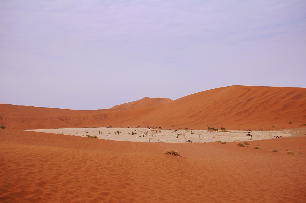 Zdjęcia: Dead Vlei, Dead Vlei, NAMIBIA Zdjęcia: Dead Vlei, Dead Vlei, NAMIBIA