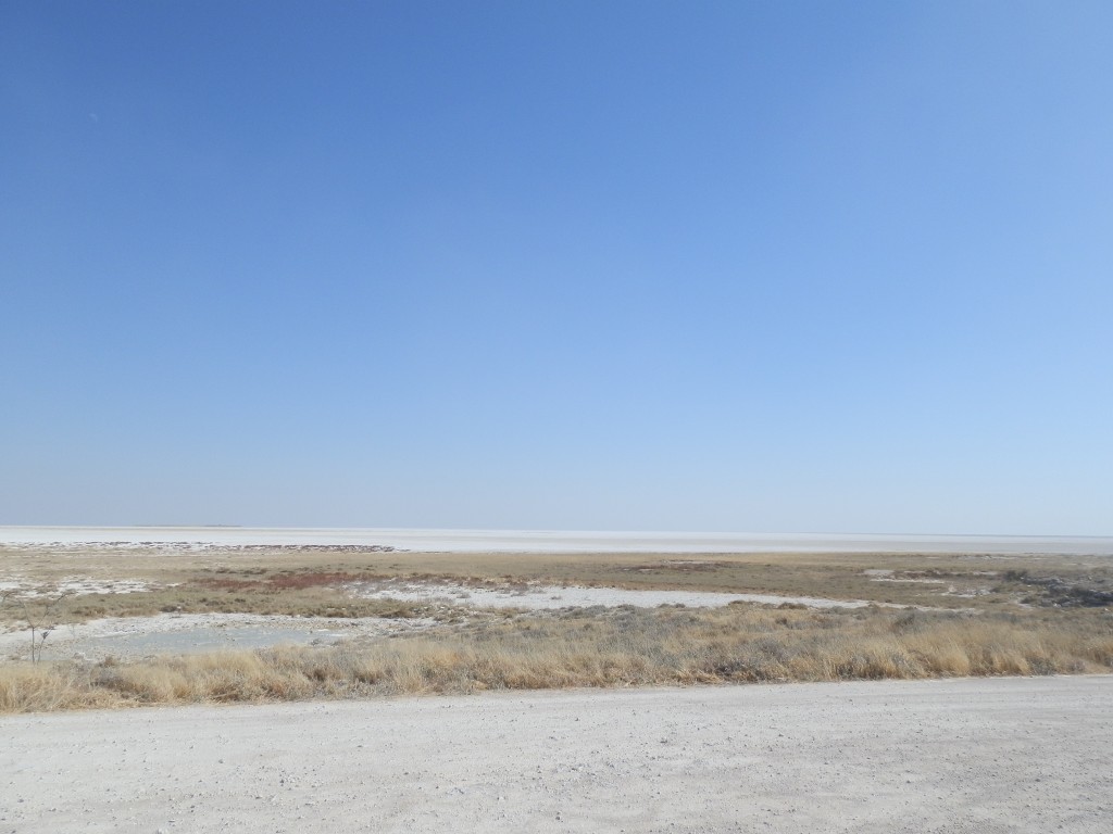 Zdjęcia: Park Etosha, Park Etosha, Żródło na pustyni, NAMIBIA Zdjęcia: Park Etosha, Park Etosha, Żródło na pustyni, NAMIBIA