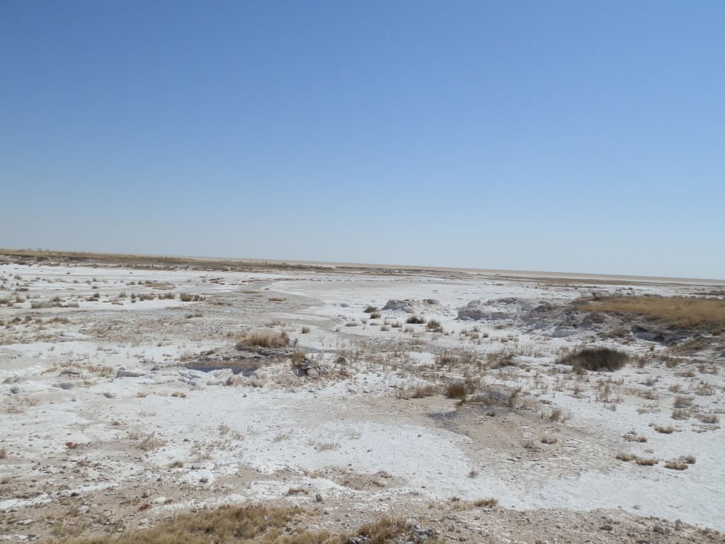 Zdjęcia: Park Etosha, Park Etosha, Jezioro słone, NAMIBIA Zdjęcia: Park Etosha, Park Etosha, Jezioro słone, NAMIBIA