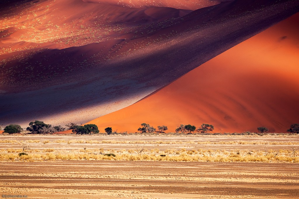 Zdjęcia: Namib-Naukluft, Namib-Naukluft, pustynia Namib, NAMIBIA Zdjęcia: Namib-Naukluft, Namib-Naukluft, pustynia Namib, NAMIBIA