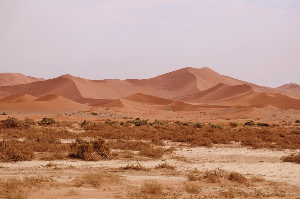 Zdjęcia:  Namib-Naukluft ,  Namib-Naukluft, Wydmy , NAMIBIA Zdjęcia:  Namib-Naukluft ,  Namib-Naukluft, Wydmy , NAMIBIA
