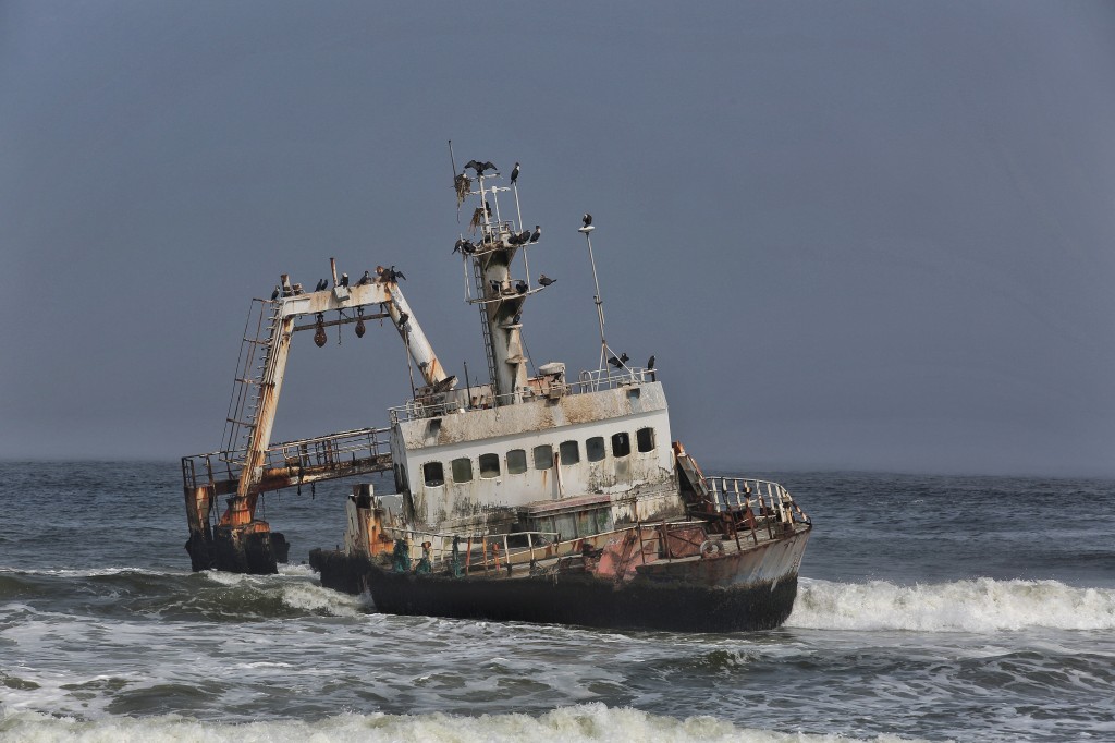 Zdjęcia: Cape Cross, Skeleton Coast, Szkielet na Wybrzeżu Szkieletow, NAMIBIA Zdjęcia: Cape Cross, Skeleton Coast, Szkielet na Wybrzeżu Szkieletow, NAMIBIA