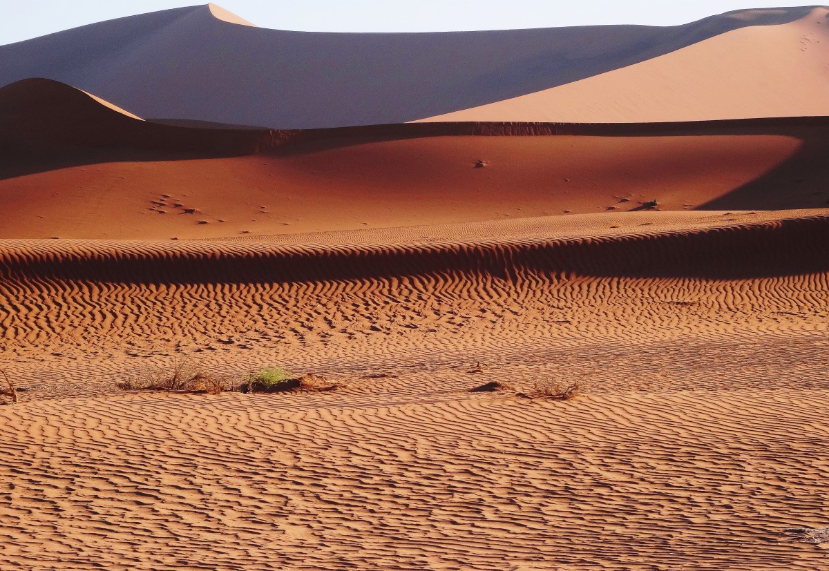 Zdjęcia: Park Narodowy Namib Naukluft , Pustynia Namib, Faktury, NAMIBIA Zdjęcia: Park Narodowy Namib Naukluft , Pustynia Namib, Faktury, NAMIBIA