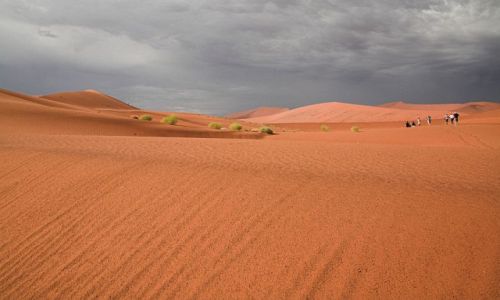 Zdjecie NAMIBIA / Pustynia Namib / jedna z wydm, chyba największa / Nanib