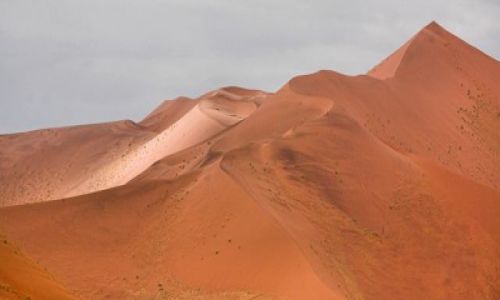 Zdjęcie NAMIBIA / Pustynia Nanib / Park Narodowy Sossuvlei  / Nanib
