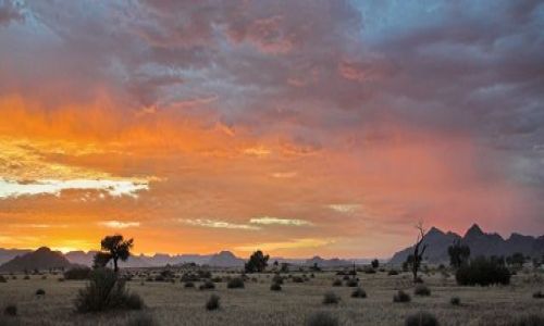 Zdjecie NAMIBIA / Pustynia Nanib / Park Narodowy Sossuvlei  / Nanib