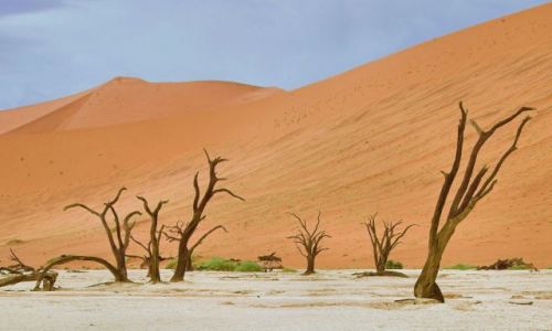 Zdjęcie NAMIBIA / Pustynia Nanib / Park Narodowy Sossuvlei  / Nanib