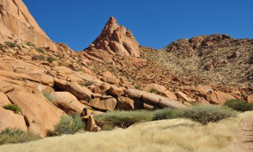 Zdjecie NAMIBIA / - / Spitzkoppe / Samotnik