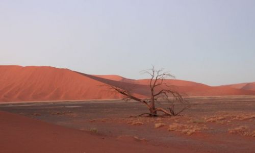 Zdjęcie NAMIBIA / sossusvlei / pn namib naukluft / dune 45
