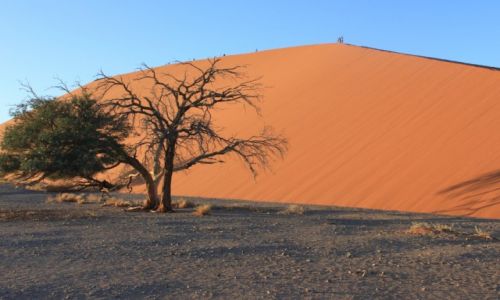 Zdjęcie NAMIBIA / Pustynia Namib / Sossusvlei / Sossusvlei