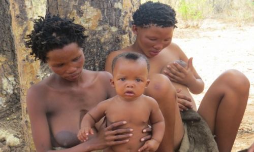 Zdjecie NAMIBIA / Pustynia Kalahari / Kalahari-Namibia / Plemi Buszmenw