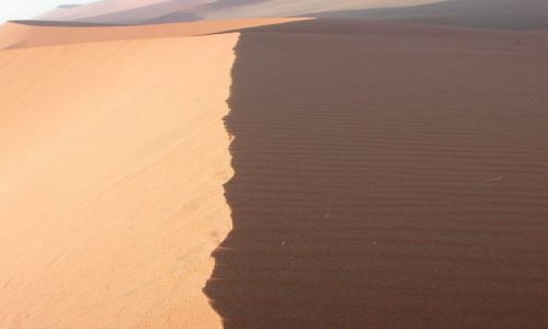 Zdjcie NAMIBIA / namib / pustynia namib / namib