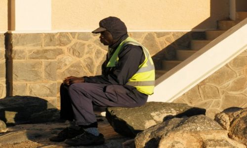 Zdjcie NAMIBIA / Wybrzee Atlantyku / Luderitz / Zapracowany po uszy