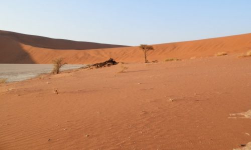 Zdjcie NAMIBIA / Pustynia Namib / Namib / Czerwone piaski