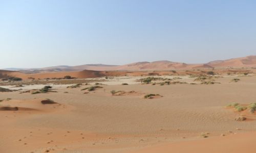 Zdjcie NAMIBIA / Pustynia Namib / Namib / Pustynny krajobraz