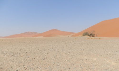 Zdjcie NAMIBIA / Pustynia Namib / Namib / Tylko piach, suchy piach...