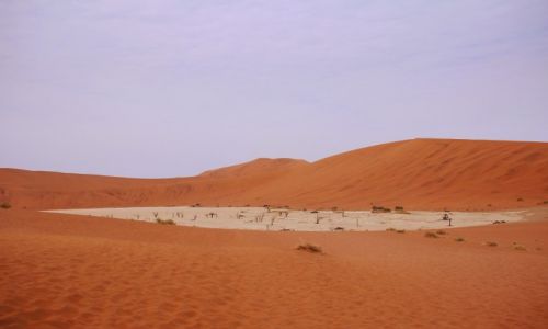 Zdjcie NAMIBIA / - / Dead Vlei / Dead Vlei