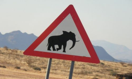 Zdjcie NAMIBIA / Burnt Montain / Twylfefotein / Znak ostrzegawczy