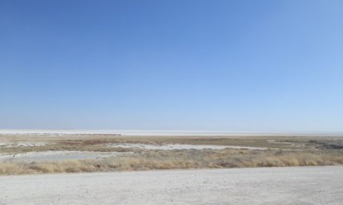 Zdjcie NAMIBIA / Park Etosha / Park Etosha / rdo na pustyni