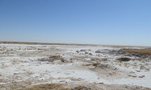 Zdjcie NAMIBIA / Park Etosha / Park Etosha / Jezioro sone