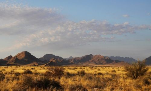 Zdjecie NAMIBIA / Namib Naukluft / Namib Naukluft / Pustynia Namib