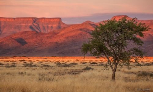Zdjecie NAMIBIA / Namib-Naukluft / Namib-Naukluft / pustynia Namib