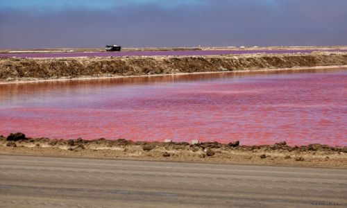 Zdjcie NAMIBIA / Walvis Bay / Walvis Bay / Walvis Bay