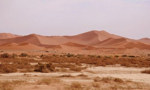 Zdjęcie NAMIBIA /  Namib-Naukluft /  Namib-Naukluft  / Wydmy