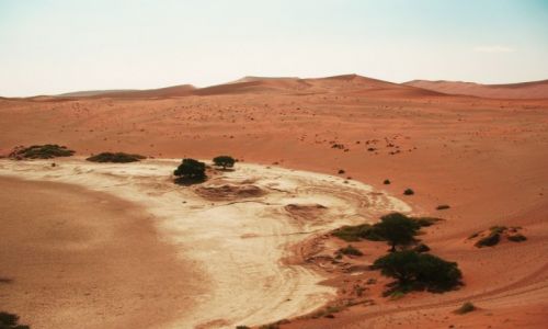 Zdjecie NAMIBIA / Sossuslei / Park Narodowy Nukluft / Ziele pustyni