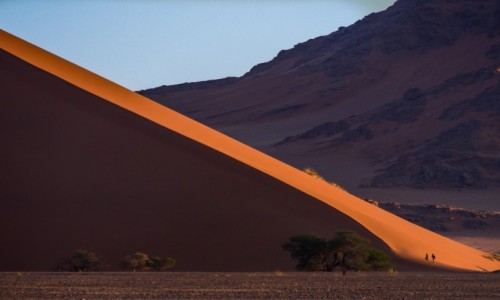 Zdjecie NAMIBIA / Pustynia Namib  / Sossusvlei / Dune 45