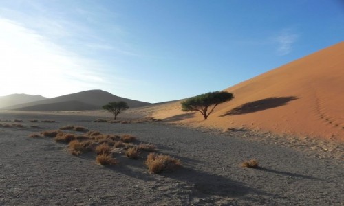 Zdjecie NAMIBIA / Soususvlei / Dune 45 / Dune 45