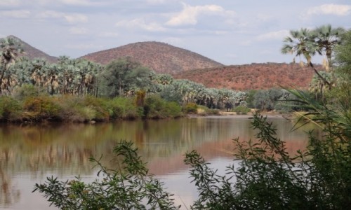 Zdjecie NAMIBIA / Kaokoland / okolica wodospadu Epupa / Rzeka Kunene