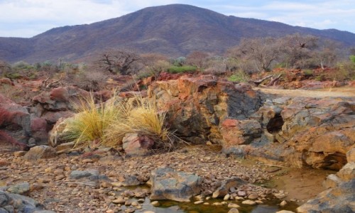 Zdjecie NAMIBIA / Kaokoland / Nad rzek Kunene /  Zachd soca nad Kunene