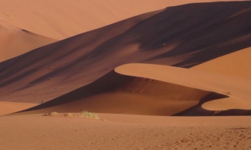 Zdjecie NAMIBIA / Pustynia Namib / W drodze do Sossusvlei / Pne popoudnie na pustyni Namib