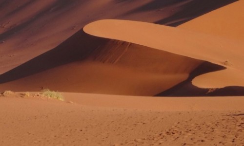 Zdjecie NAMIBIA / Pustynia Namib / W drodze do Sossusvlei / Jeszcze cianiejszy kadr lepszy? 