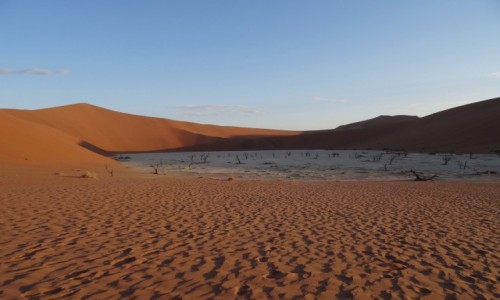 Zdjcie NAMIBIA / Pustynia Namib / Park Narodowy Namib Naukluft / Synne Sossusvlei - Martwe Bagno