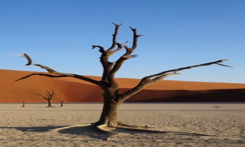 Zdjecie NAMIBIA / Pustynia Namib / Sossusvlei / Najbardziej znany namibijski landszafcik