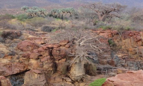 Zdjcie NAMIBIA / Kunene / Wwz rzeki Kunene w poblizu Epupa / Tego niezwykego miejsca nie powinnicie pomin zwiedzajc Namibi