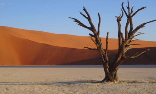 Zdjecie NAMIBIA / Pustynia Namib / Sossusvlei / Pogldowe nieszumice dla Pawa