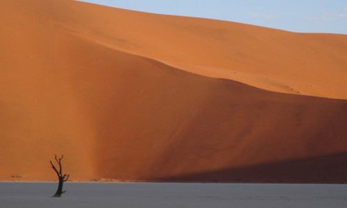 Zdjecie NAMIBIA / Pustynia Namib / Sossusvlei / Samotne martwe drzewa zmieniay nastrj krajobrazu