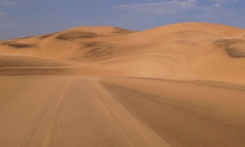 Zdjęcie NAMIBIA / Pustynia Namib / Sossusvlei / Oprócz podziwiania i wspinania po wydmach mozna było także pojeździć - wielka frajda!